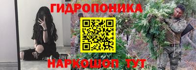 дмт Гусь-Хрустальный