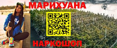 прущие грибы Гусиноозёрск