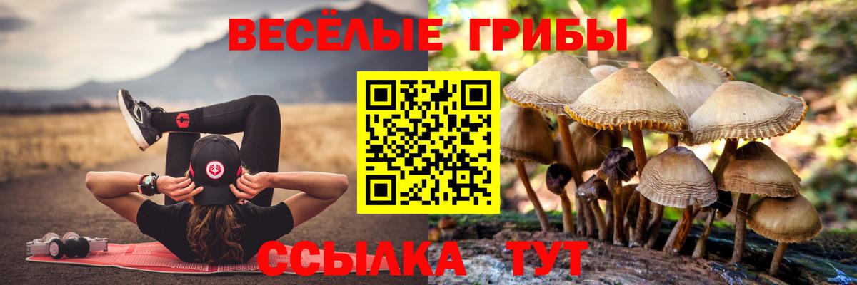 Малоярославец  Галлюциногенные грибы ЛСД  Псилоцибиновые грибы GOLDEN TEACHER  Вход с VPN 